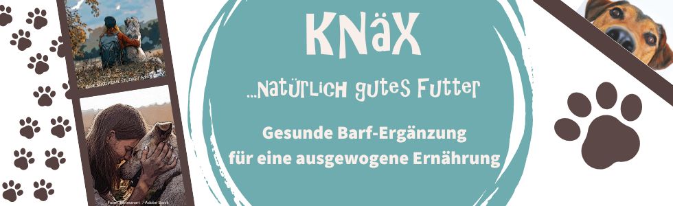 Gesund durch das Jahr