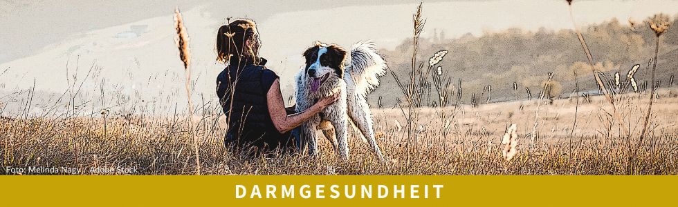 Darmgesundheit