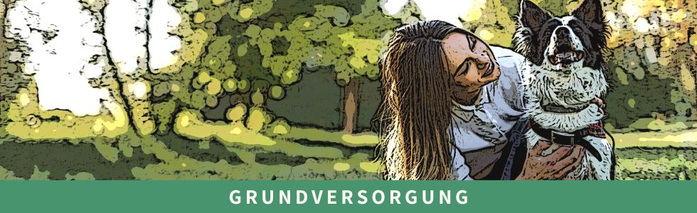 Grundversorgung