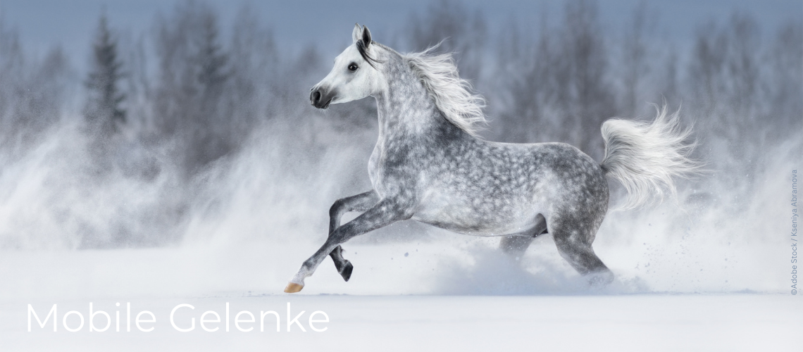 Mobile Gelenke