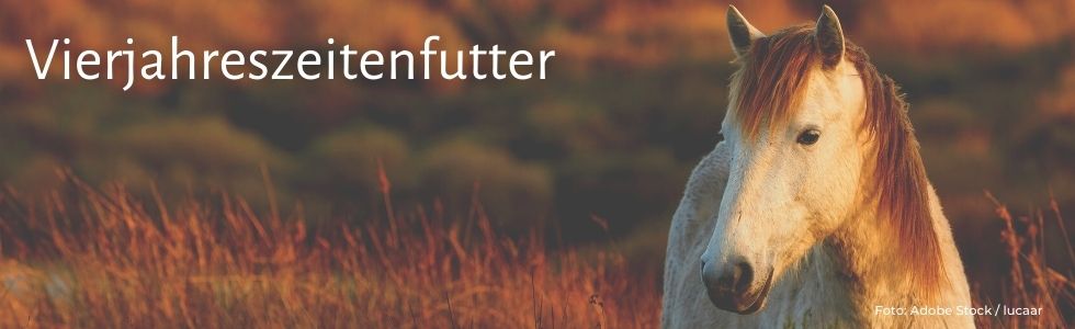 Vierjahreszeitenfutter