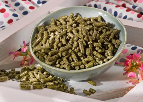 Futterpflanze Esparsette, Futter für Pferde, Esparsette Pellets, Ergänzungsfutter