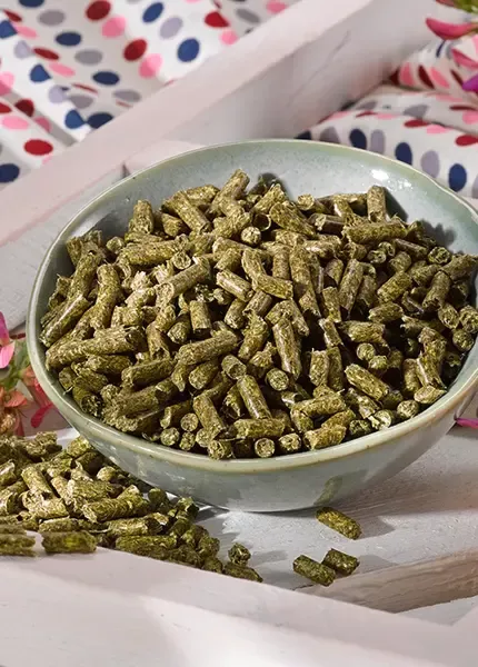 Esparsette Pellets für Pferde in einer gräulichen Schüssel, Tuch mit Punkten im Hintergrund, Pferdefutter