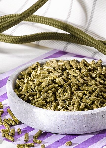 Futterpflanze Luzerne, Futter für Pferde, Pellets, Ergänzungsfutter
