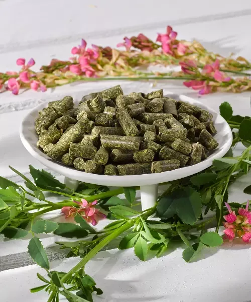 OKAPI Esparsette Premium-Qualität – getreidefreies Basisfutter 18 kg, stärke- und zuckerarm
