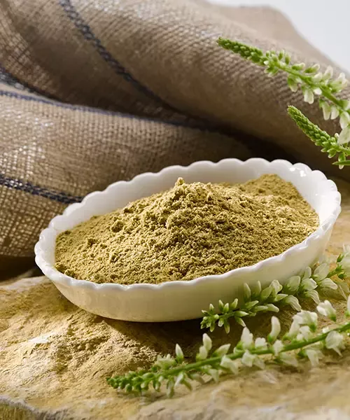 OKAPI HeparKPU forte – Ergänzungsfuttermittel 600 g mit Kräutermischung, Vitamin B6, B12, Zink und Schwefel für Pferde