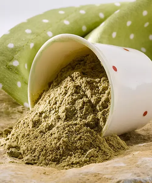 OKAPI PankrEMS forte – Ergänzungsfuttermittel 600 g mit Kräutermischung und Mikronährstoffen für Pferde