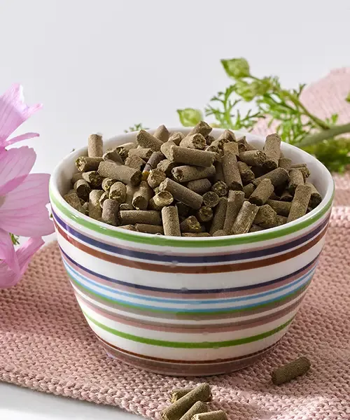 OKAPI Mineralpellets – pelletiertes Mineralkonzentrat 10 kg für erwachsene Pferde, gut dosierbar auch über Futterautomaten