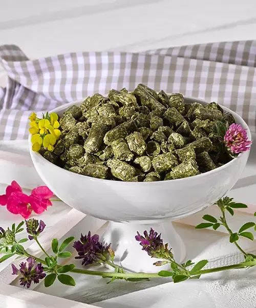 OKAPI Vitalcobs – getreidefreie Cobs 18 kg aus Gräsern und Kräutern für Pferde mit erhöhtem Eiweiß- und Energiebedarf