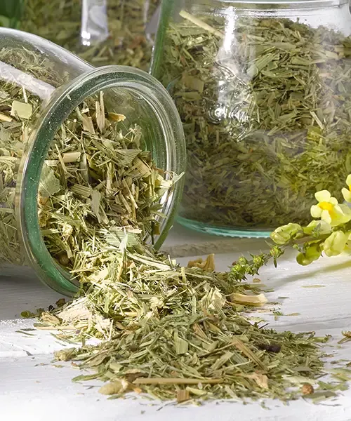 VJZ Frühlingsgefühle