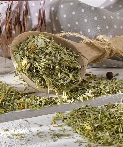 OKAPI Vierjahreszeitenfutter Herbsttage – getreidefreie 100%-Kräutermischung 2,5 kg für die Fütterung im Oktober und November