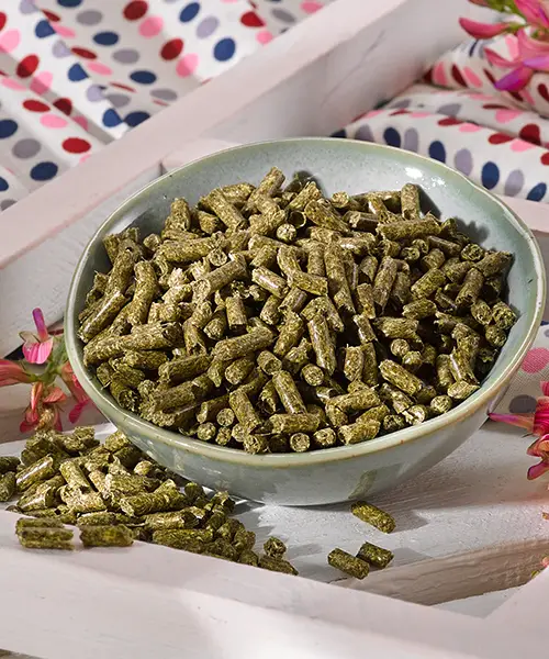 OKAPI Fix&Fertig Esparsette