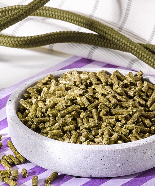 OKAPI Fix & Fertig Luzerne