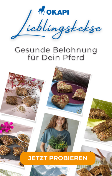Handgemachte Pferdeleckerlies für dein Pferd
