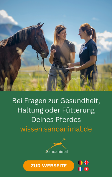 Bei Fragen zur Gesundheit deines Pferdes - Sanoanimal