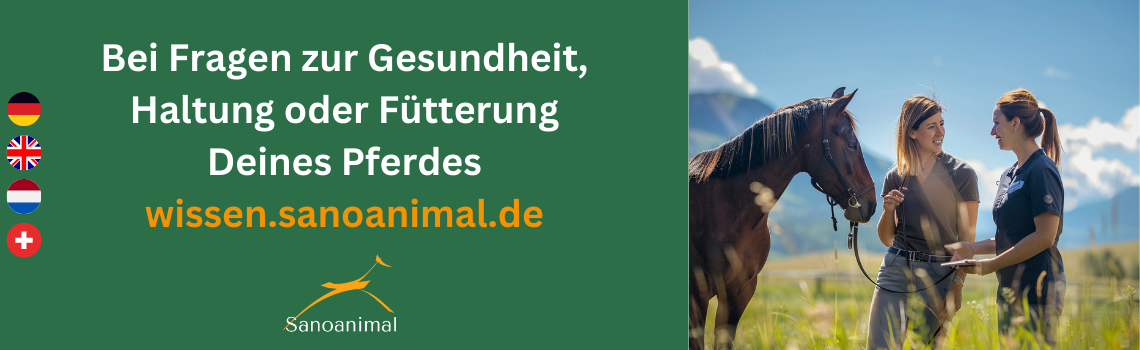 Bei Fragen zur Gesundheit deines Pferdes - Sanoanimal