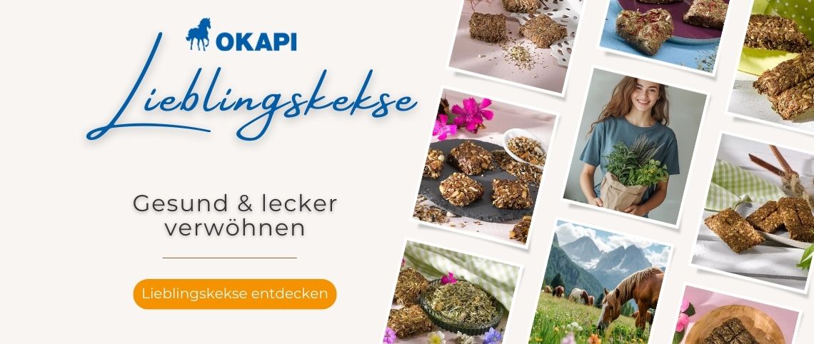 Handgemachte Pferdeleckerlies für dein Pferd