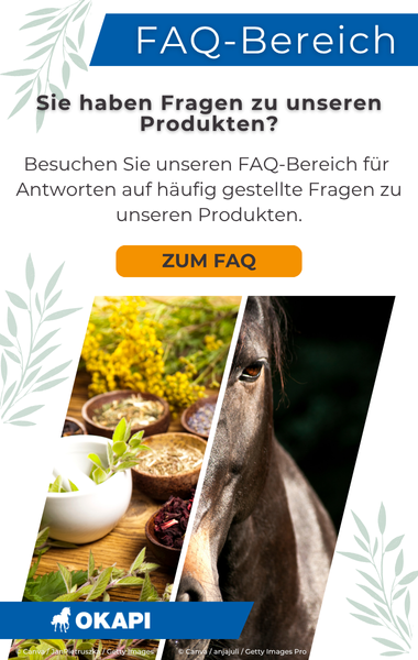 FAQ-Bereich: Fragen zu unseren Produkten? Hier findest du Antworten auf häufig gestellte Fragen.