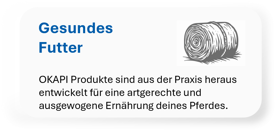 Gesundes Pferdefutter