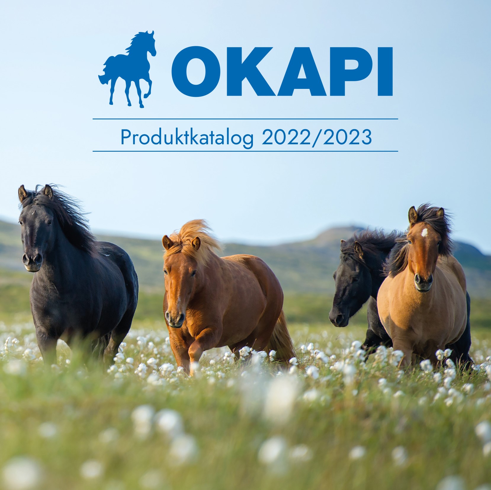 OKAPI Produktkatalog