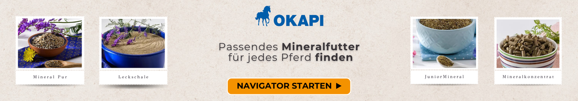 Finde das richtige Mineralfutter für dein Pferd. Navigation starten