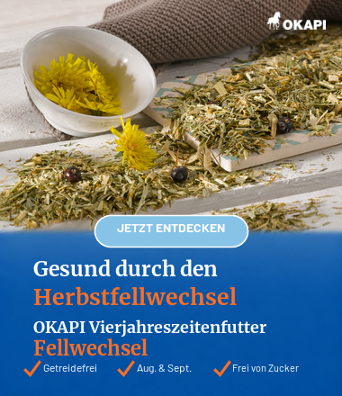 Vierjahreszeitenfutter Fellwechsel Pferde