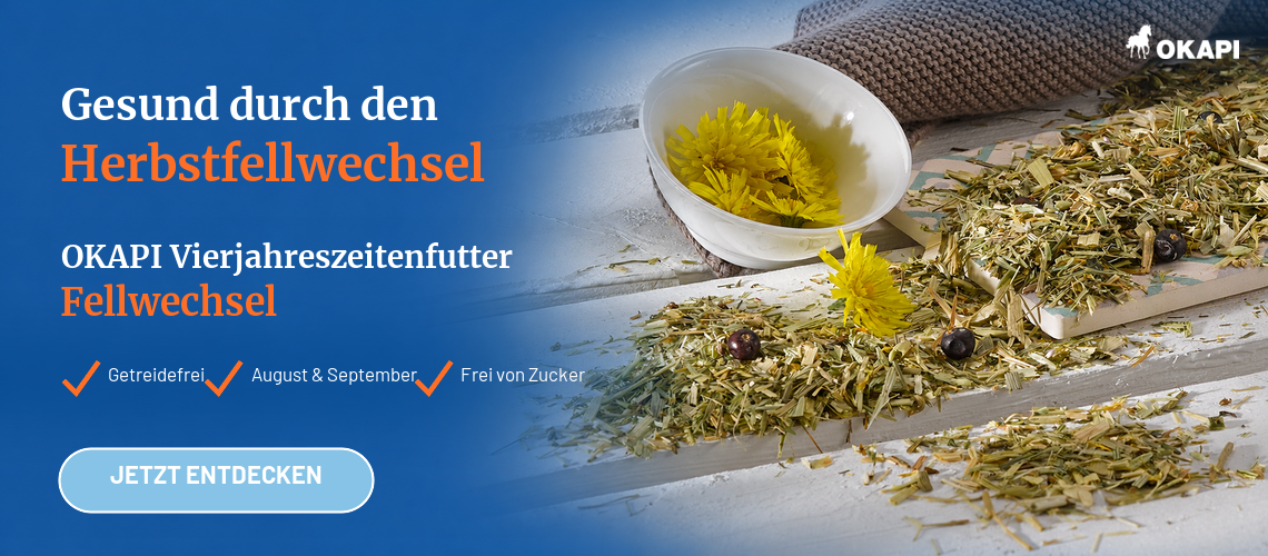 Vierjahreszeitenfutter Fellwechsel Pferde