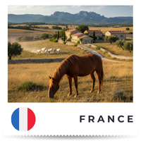  revendeurs et th&eacute;rapeutes en France