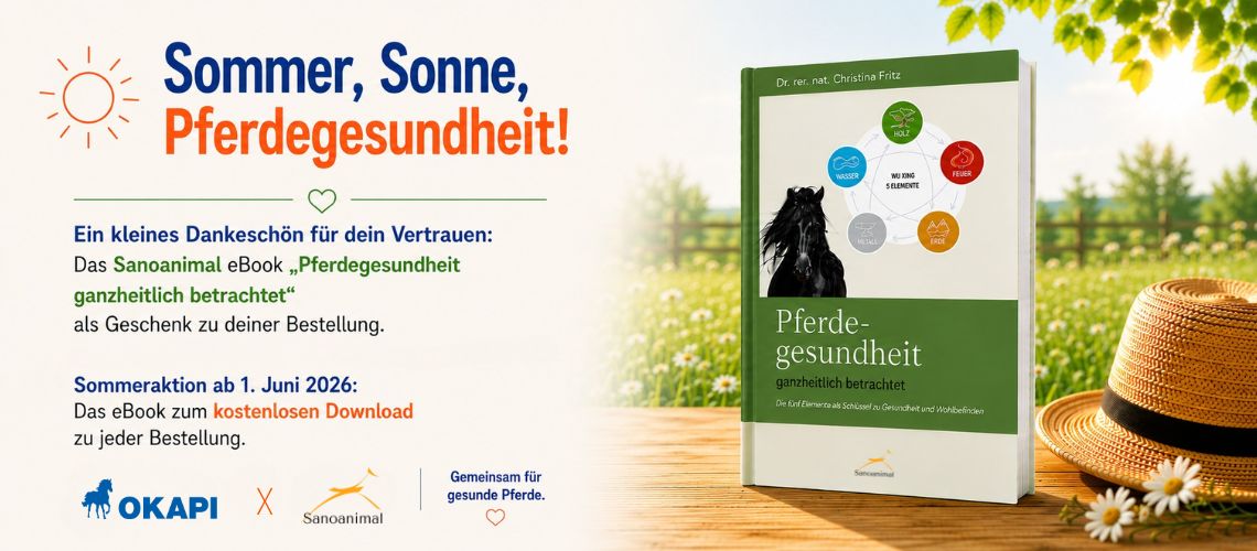 OKAPI SommerXem forte – Für Haut und Fell in der Insektensaison OKAPI SommerXem forte Kräuterergänzungsfutter für Pferde – Fuchs auf der Sommerweide mit Produktverpackung