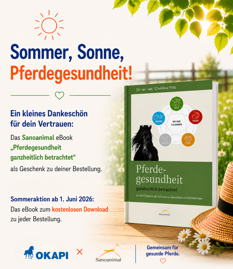 OKAPI SommerXem forte – Für Haut und Fell in der Insektensaison OKAPI SommerXem forte Kräuterergänzungsfutter für Pferde – Fuchs auf der Sommerweide mit Produktverpackung