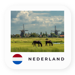 OKAPI online Nederland