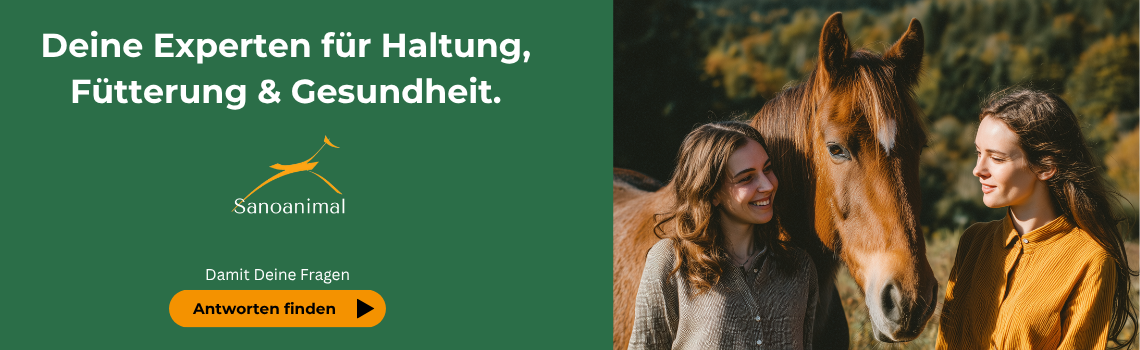 Bei Fragen zur Gesundheit, Haltung oder Fütterung deines Pferdes - Sanoanimal