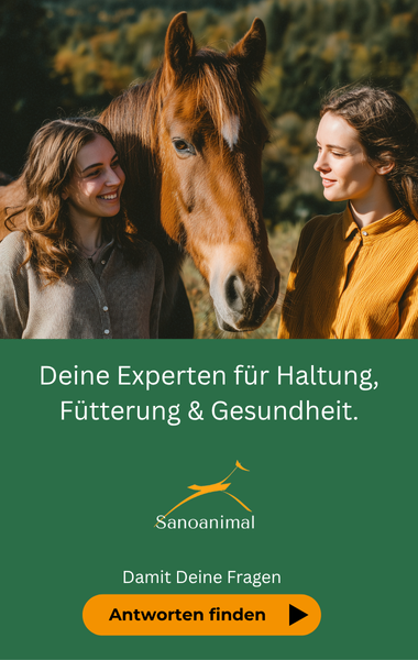 Bei Fragen zur Gesundheit, Haltung oder Fütterung deines Pferdes - Sanoanimal