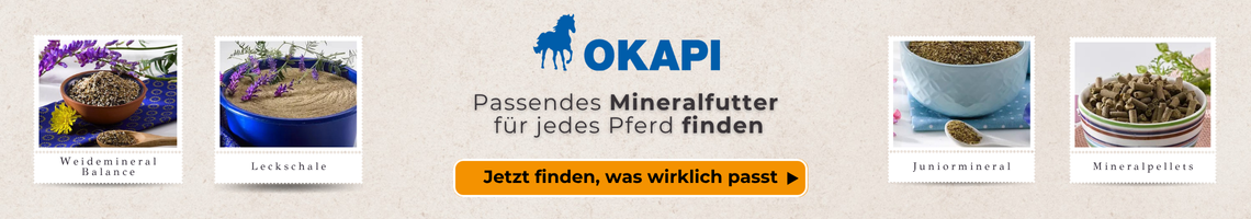 Finde das richtige Mineralfutter für dein Pferd. Navigation starten
