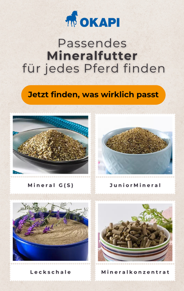 Finde das richtige Mineralfutter für dein Pferd. Navigation starten