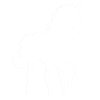 OKAPI Pferd