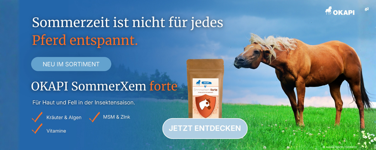 OKAPI SommerXem forte Kr&auml;utererg&auml;nzungsfutter f&uuml;r Pferde &ndash; Fuchs auf der Sommerweide mit Produktverpackung