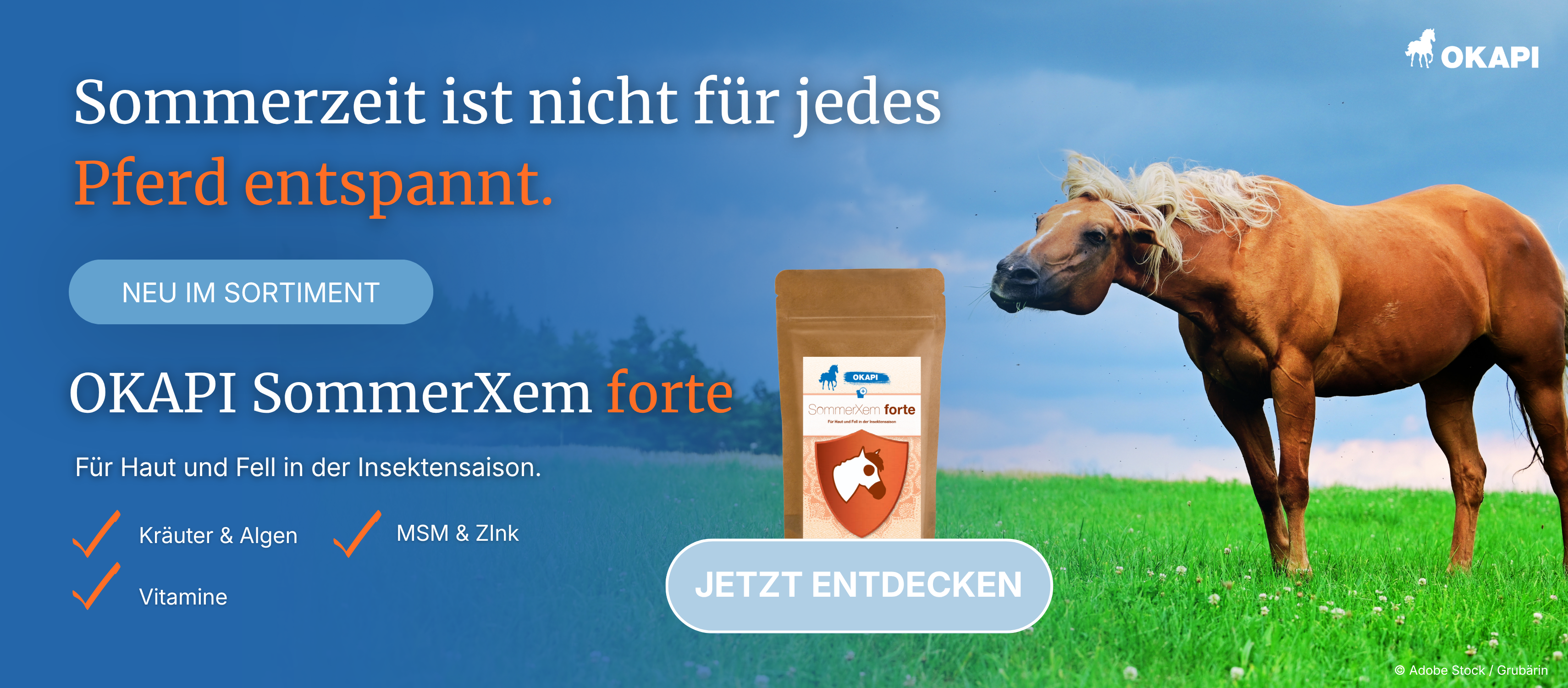 Sommer, Sonne, Pferdegesundheit