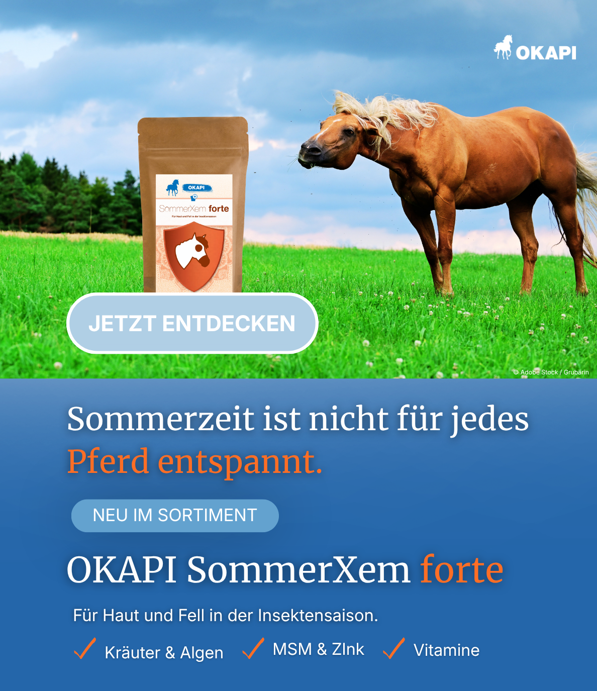 Sommer, Sonne, Pferdegesundheit