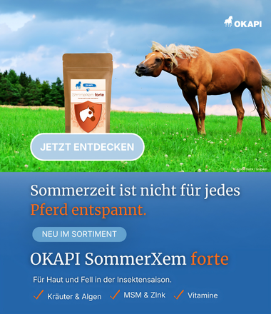 OKAPI SommerXem forte Kr&auml;utererg&auml;nzungsfutter f&uuml;r Pferde &ndash; Fuchs auf der Sommerweide mit Produktverpackung