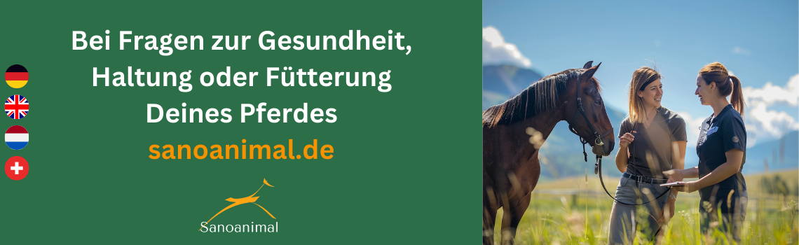 Bei Fragen zur Gesundheit deines Pferdes - Sanoanimal