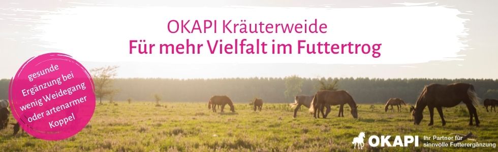 okapi-futter-f-r-gesunde-pferde-okapi-online-shop