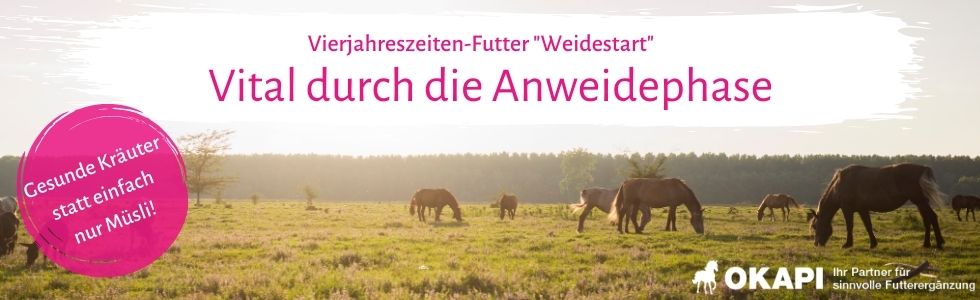 Vierjahreszeitenfutter Vierjahreszeitenfutter