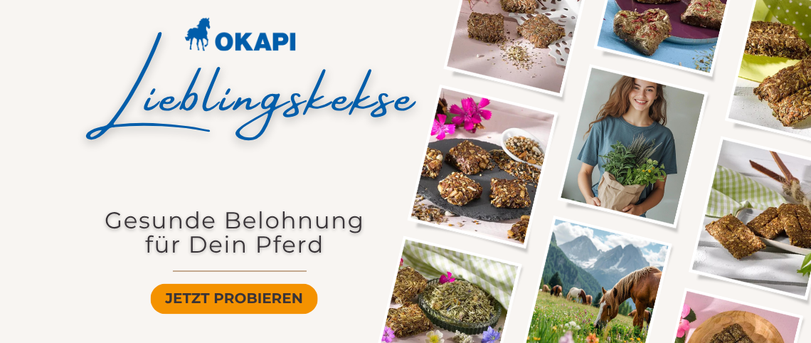 Handgemachte Pferdeleckerlies für dein Pferd. Gesund und lecker verwöhnen. Lieblingskekse entdecken