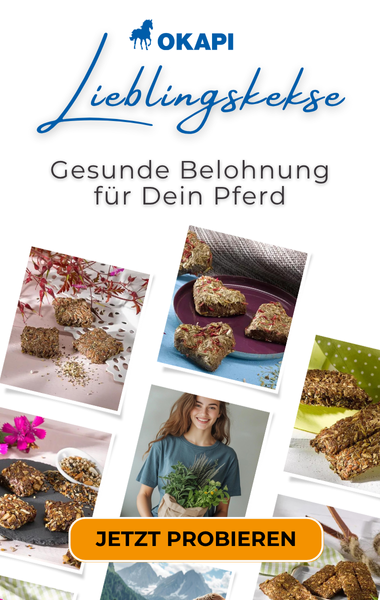 Handgemachte Pferdeleckerlies für dein Pferd. Gesund und lecker verwöhnen. Lieblingskekse entdecken
