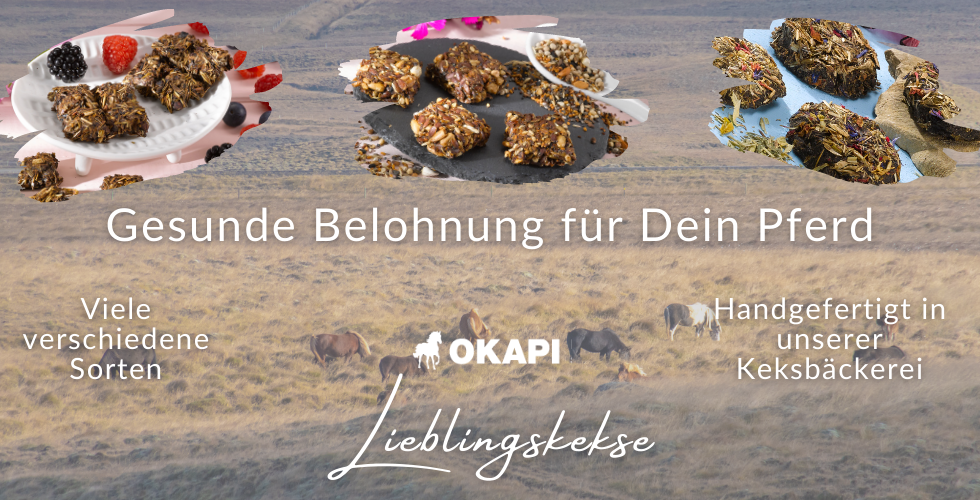 OKAPI Lieblingskekse Handgefertigt Cranberry kekse Winterknusper 