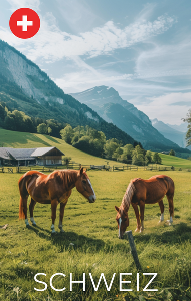 OKAPI Händler in der Schweiz
