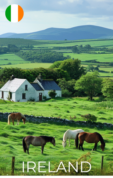 OKAPI Dealer in Ireland