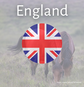  englandhändler