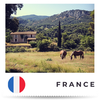 OKAPI online France